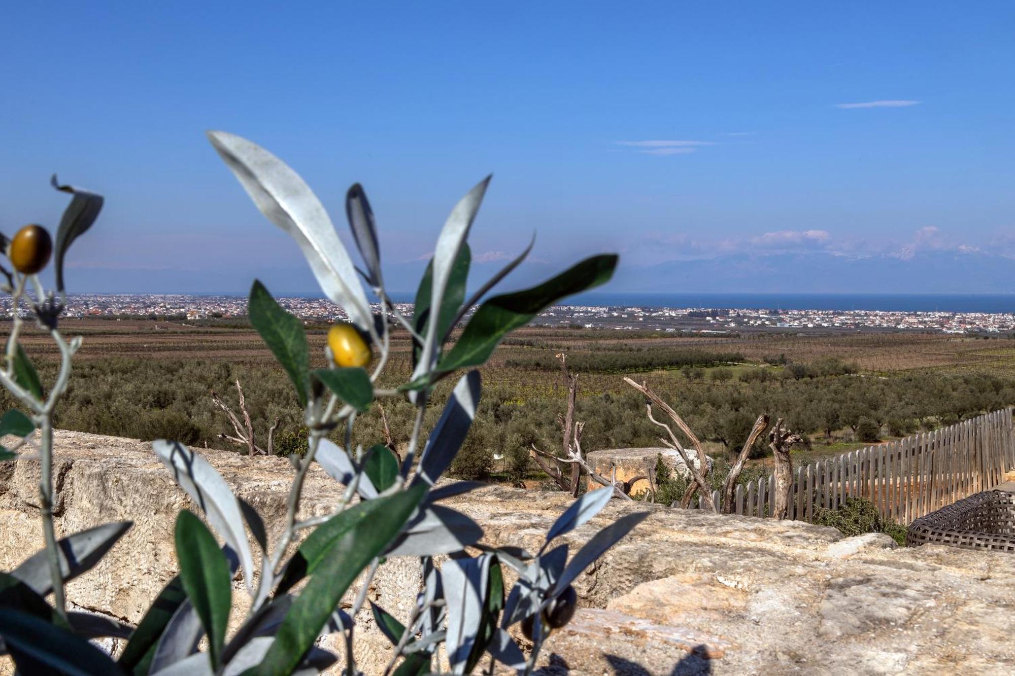 The Olive Hill Villa Ássos Eksteriør bilde